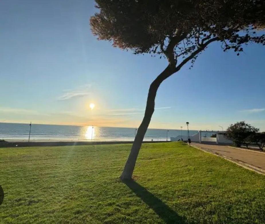 Apartamento La Fontanilla Conil De La Frontera Extérieur photo